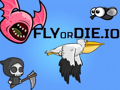 Кто играет в Флай ор дай ио? / Who plays fly or die io? 